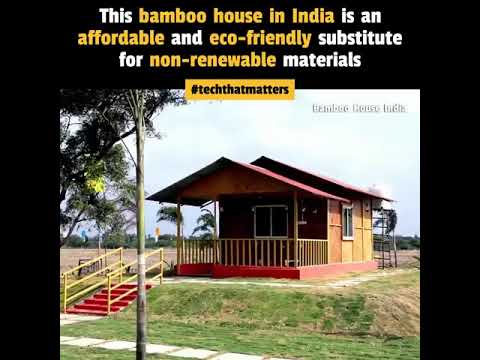 Eco-friendly Bamboo home is an inexpensive replace for non-renewable subject matter.