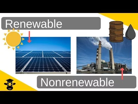 Distinction between Renewable and Nonrenewable Assets