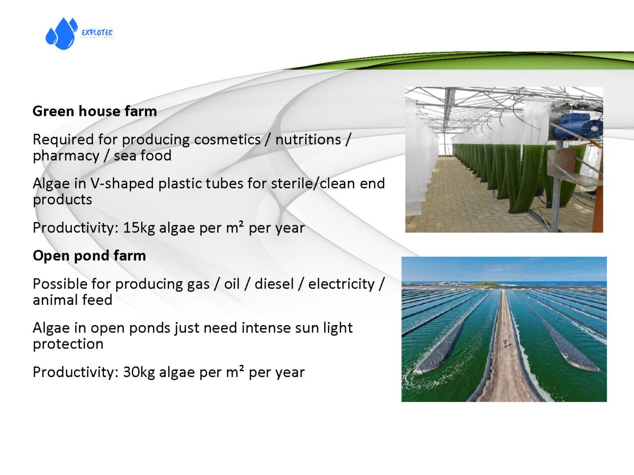 Algae plant presentation r2 Page 09 1280x960