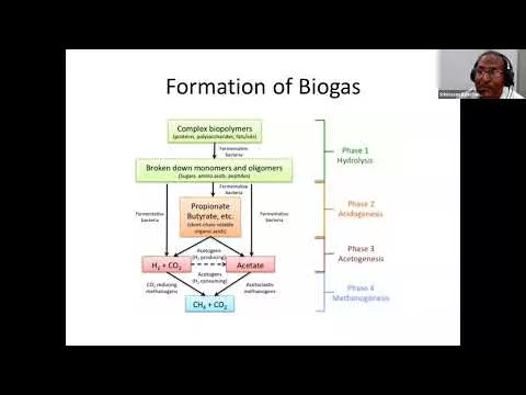 Renewable power – Biogas and its Boundaries in Rural India By means of S. Balachandran
