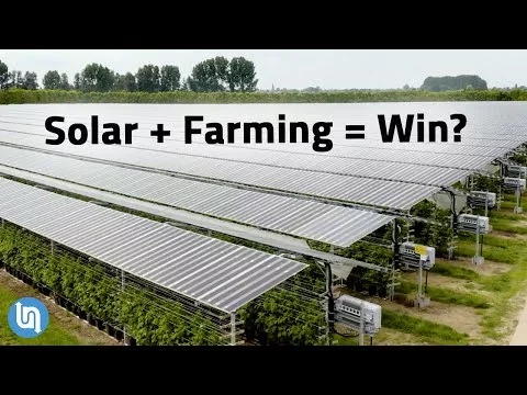 Sun Panels Plus Farming? Agrivoltaics Defined
