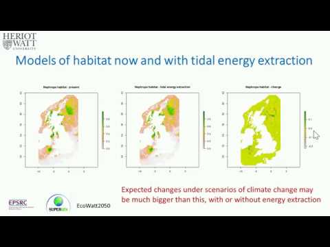 Annex IV Webinar #13: Fisheries Interactions with Marine Renewable Power Building