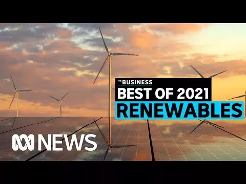 What development have we made on renewables in 2021? | The Trade