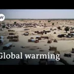 Local weather alternate – Warding off disaster | DW Documentary