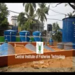 Waste to Electrical energy Venture CIFT [Central Institute of Fisheries Technology, Govt of India, Cochin]