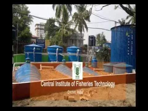 Waste to Electrical energy Venture CIFT [Central Institute of Fisheries Technology, Govt of India, Cochin]
