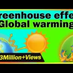 Greenhouse Impact and International Warming | Environmental Science | LetsTute