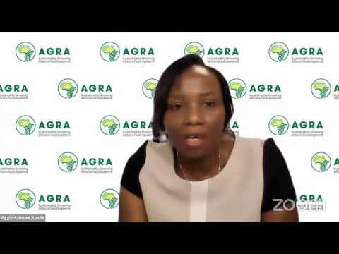 Navigating Local weather Demanding situations: Girls in African Agribusiness