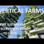 Are Vertical Farms the Long term of Agriculture?