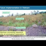 Revegetation of polluted/degraded soils in China – Potential of energy crop production – Jan Japenga
