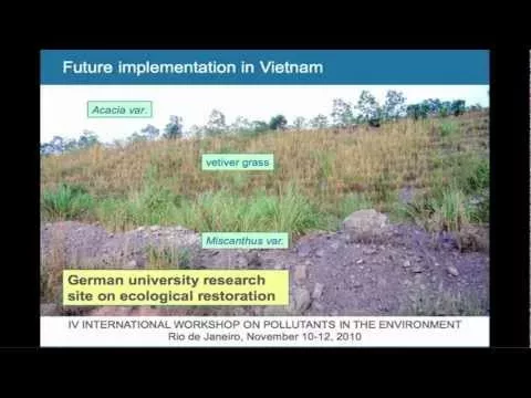 Revegetation of polluted/degraded soils in China – Potential of energy crop production – Jan Japenga