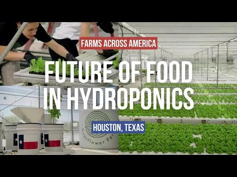 Hydroponic Farming to Feed America | Farms Across America