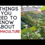 The 7 Most Important Things About Permaculture