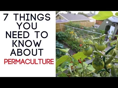 The 7 Most Important Things About Permaculture