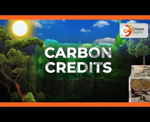 The Explainer: The carbon credit business damaged down