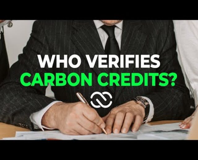 Who Verifies Carbon Credit?