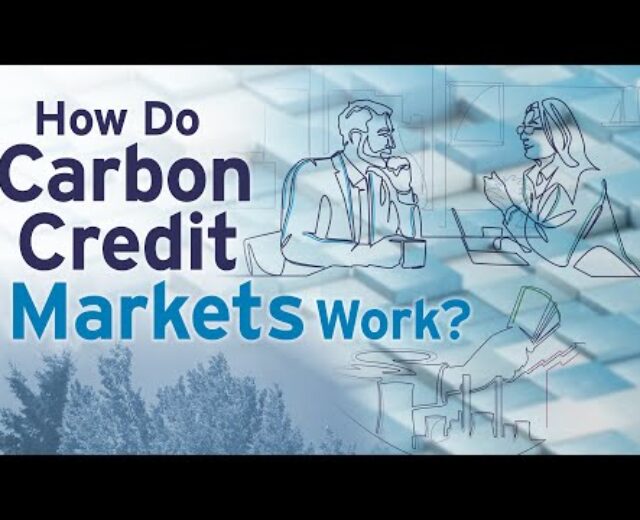 How Do Carbon Credit score Markets Paintings?