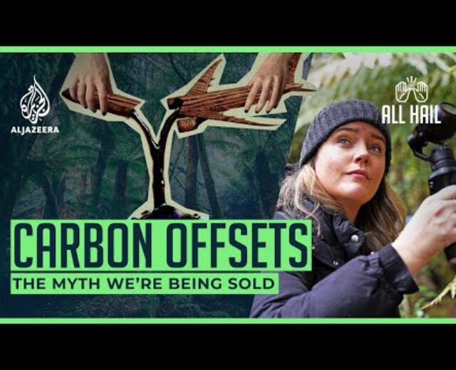 Do carbon offsets even paintings? | All Hail The Planet