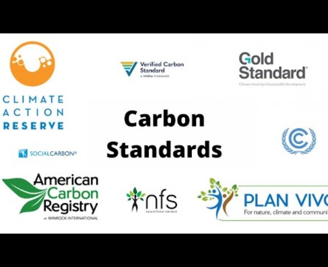 Carbon Requirements in 2021 – Perfect Carbon Registries 2021