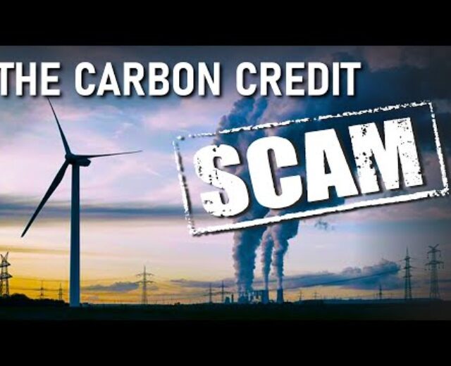 Exposing the Carbon Credit score and Offset SCAM
