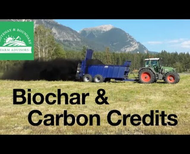Biochar and Carbon Credit