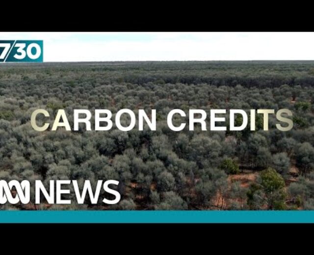 Professionals criticise Australia’s hottest carbon offset scheme | 7.30