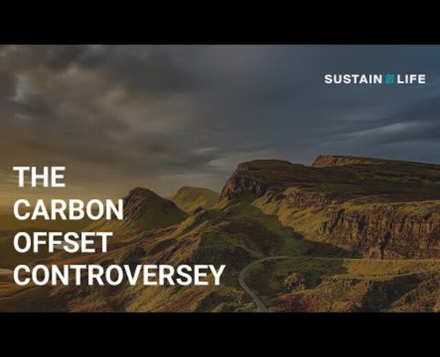 What’s the controversy with carbon offsets?