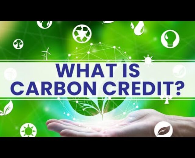 What’s Carbon Credit score? How Do I Get Carbon Credit score? Sustainability