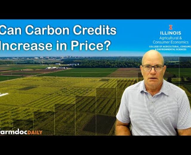 Carbon Markets 101: Can carbon credit build up in worth?