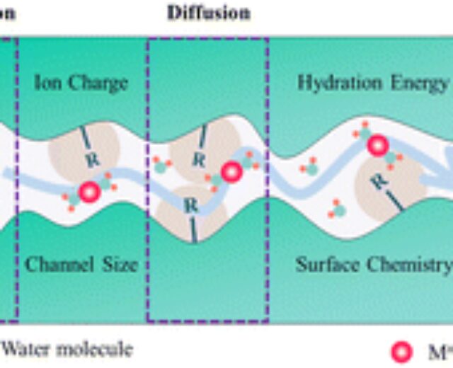 mechanism-of-lithium-ions-selectivity-via-membranes:-a-temporary-evaluation