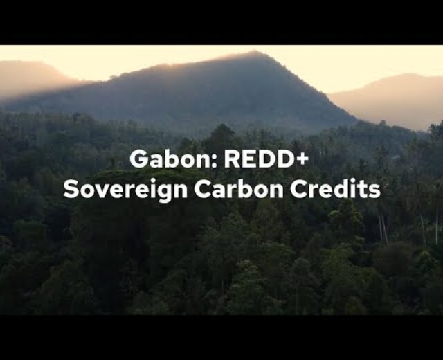 Gabon: REDD+ Sovereign Carbon Credit