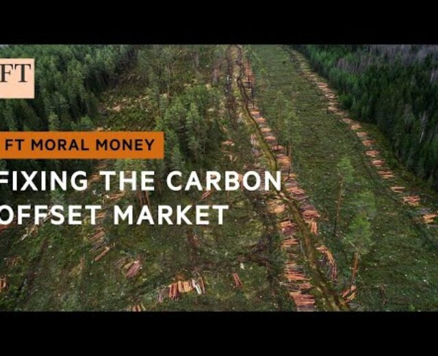 Scrutiny of the carbon offset marketplace is rising | FT Ethical Cash
