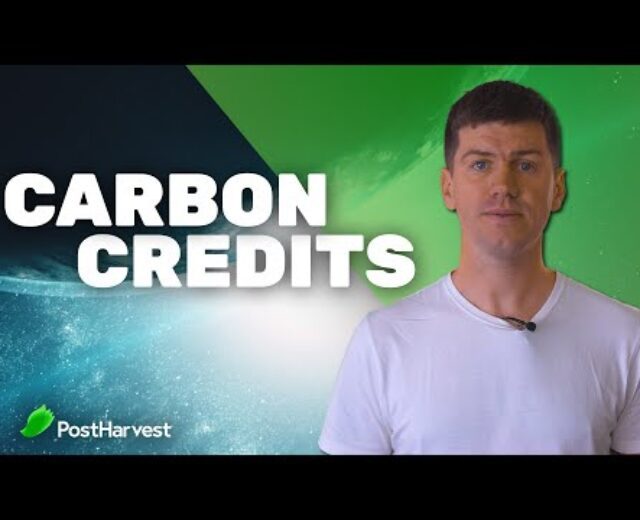 Fast Intro: Carbon Credit