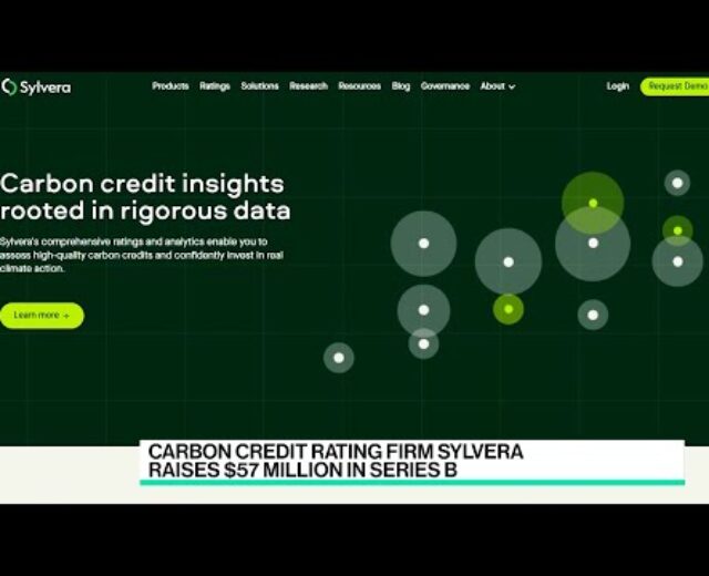 Carbon Credit score Score Company Sylvera Raises $57M in Sequence B