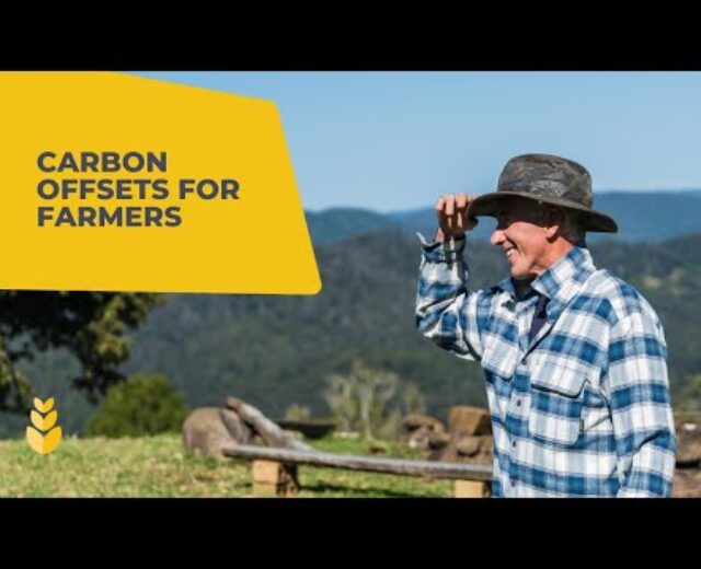 Carbon offsets in agriculture: what are they?