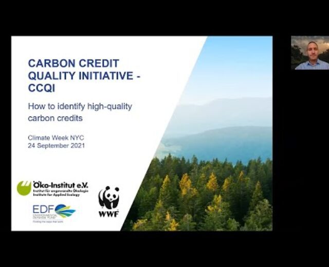 Carbon Credit score High quality Initiative: The right way to establish top quality carbon credit – Local weather Week 2021