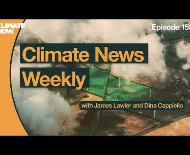 Local weather Information Weekly: SBTI drama with carbon credit, EPA Inexperienced Financial institution Investment, and Sun Sheep