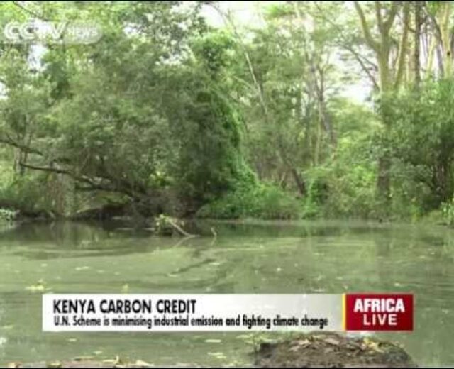 Kenya’s Carbon Buying and selling