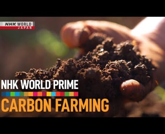 Carbon Farming: A Local weather Answer Beneath Our Toes – NHK WORLD PRIME