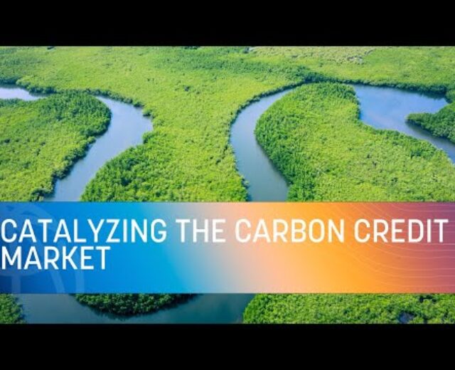 COP27 | Catalyzing the Carbon Credit score Marketplace