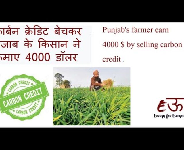 Kuldeep Singh Cheema ,farmer with whom India’s farming enters carbon credit score marketplace कुलदीप सिंह चीमा,