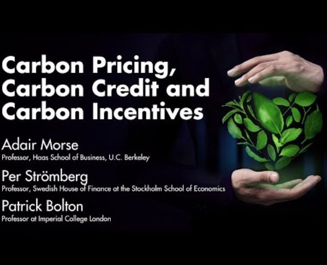 Carbon Pricing, Carbon Credit score and Carbon Incentives