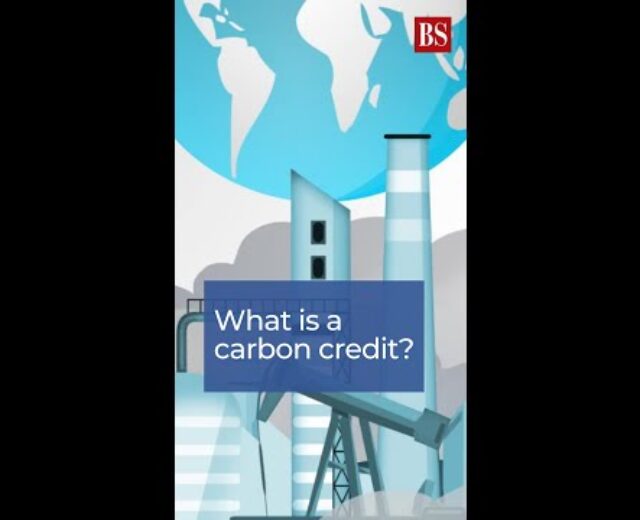 What’s carbon credit score? Watch this to determine