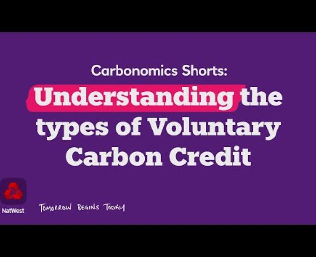 Working out the forms of Voluntary Carbon Credit score
