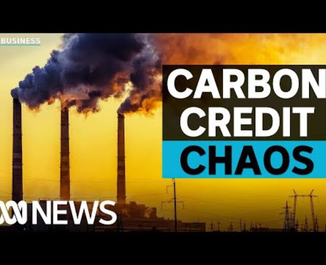 Coalition accused of tearing up carbon credit score contracts | The Trade | ABC Information
