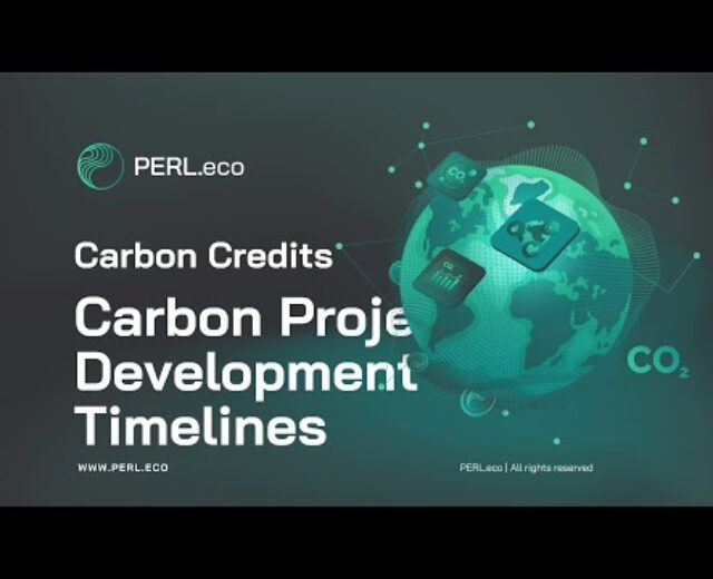 PERL Carbon Explainer 6: Carbon Undertaking Construction Timelines