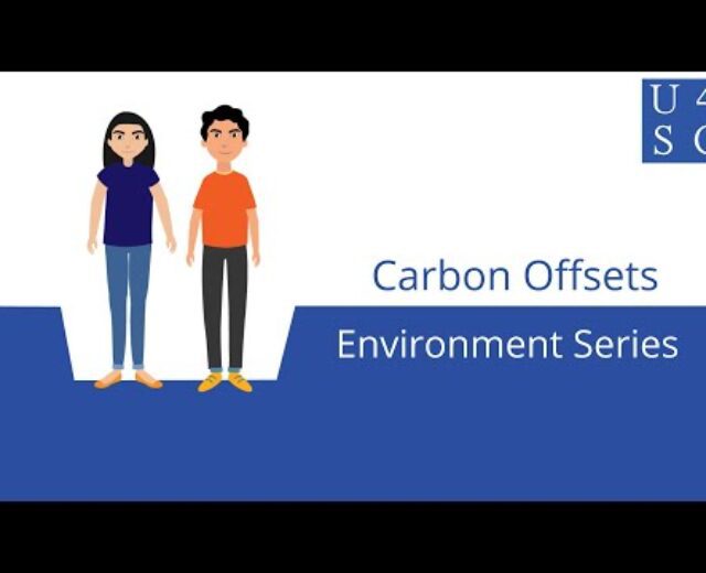 Carbon Offsets: The place Does the Carbon Cross? – Atmosphere Collection| Academy 4 Social Trade