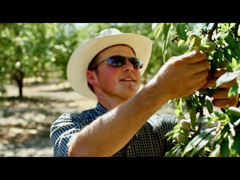 Rising Carbon Credit in Almond Orchards | One Serving of Sustainability | California Almonds
