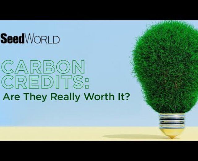 Carbon Credit: Are They Actually Price It? – A Seed Global Technique Webinar