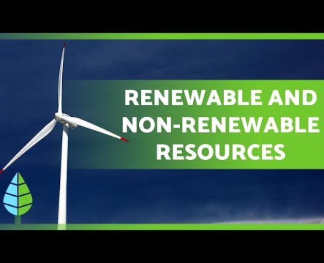 RENEWABLE AND NON-RENEWABLE RESOURCES ☀️🌲 Variations and Examples!